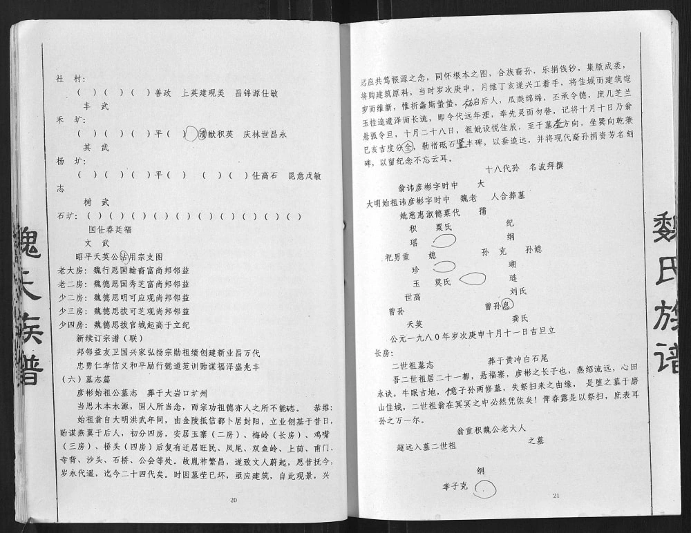 图片[5]-广西贺州魏氏族谱电子版PDF下载-中华家谱网