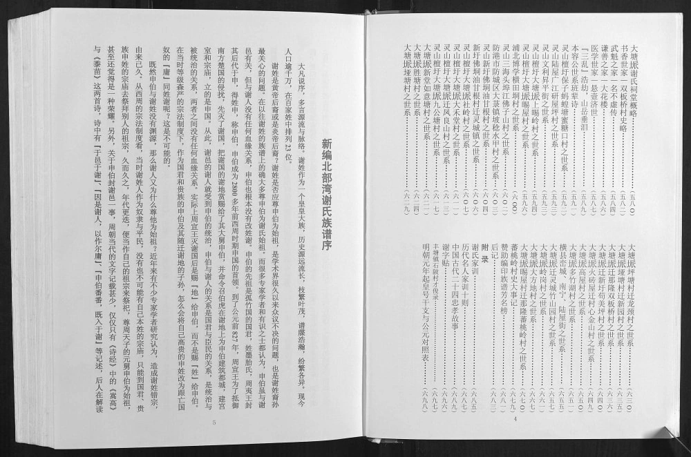 图片[3]-广西钦州灵山县北部湾谢氏族谱电子版PDF下载-中华家谱网