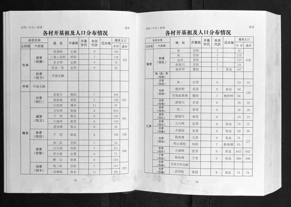 图片[4]-广西钦州灵山县武利叶氏族谱电子版PDF下载-中华家谱网