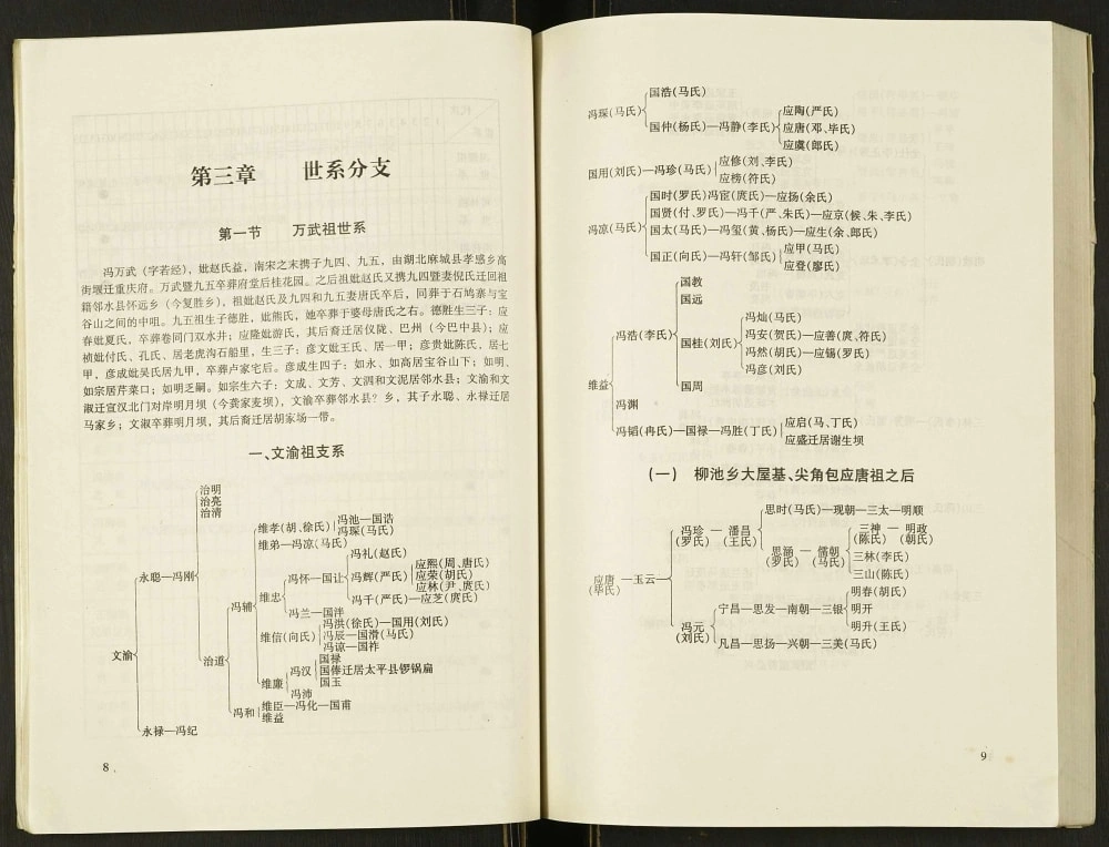 图片[7]-四川达州宣汉县冯氏族谱电子版PDF下载-中华家谱网