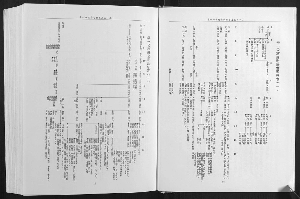 图片[4]-广西钦州灵山县北部湾谢氏族谱电子版PDF下载-中华家谱网