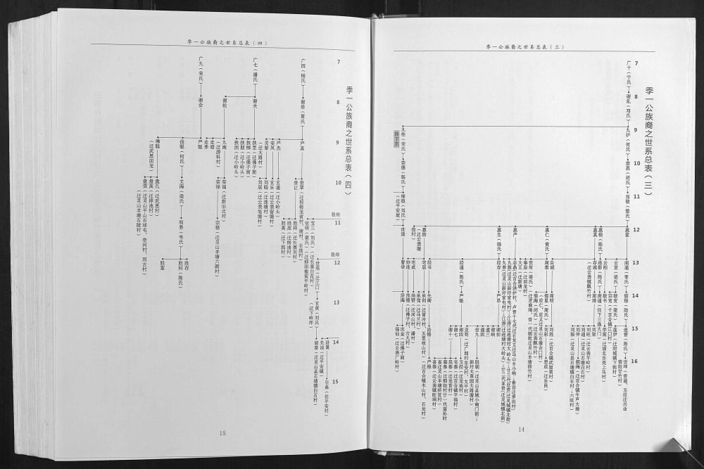图片[5]-广西钦州灵山县北部湾谢氏族谱电子版PDF下载-中华家谱网