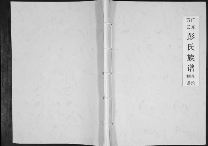 广东揭阳揭西县五云彭氏族谱李坑祠谱-中华家谱网