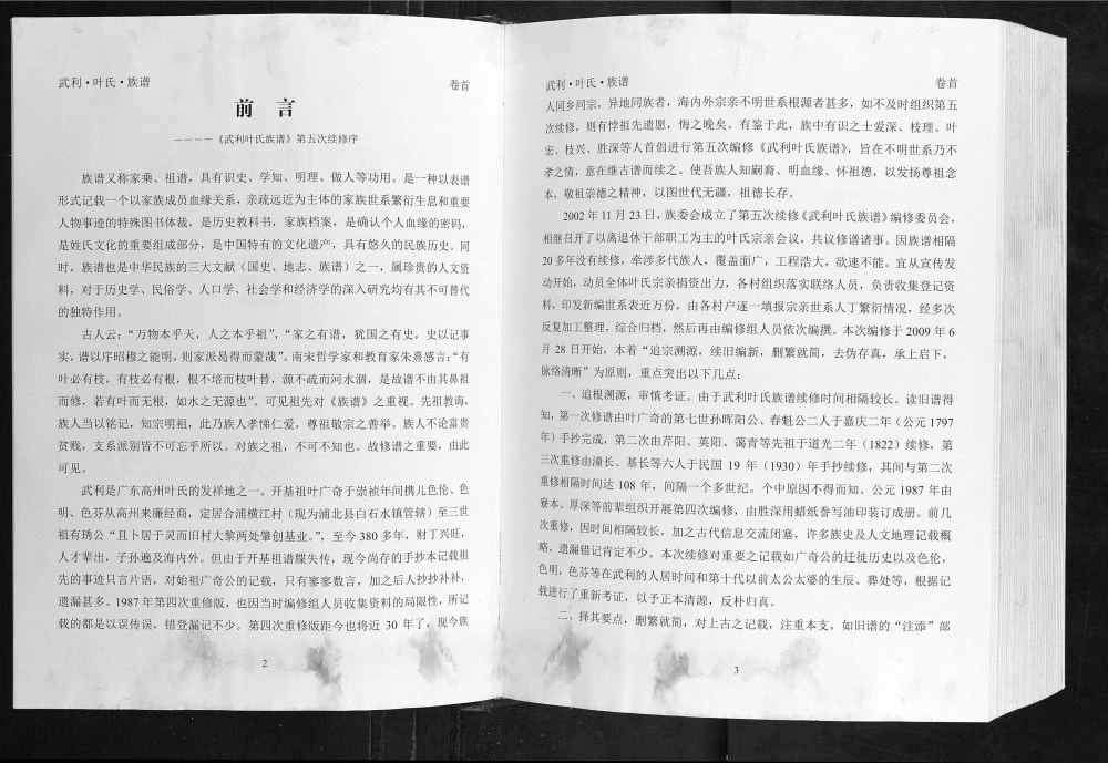 图片[2]-广西钦州灵山县武利叶氏族谱电子版PDF下载-中华家谱网