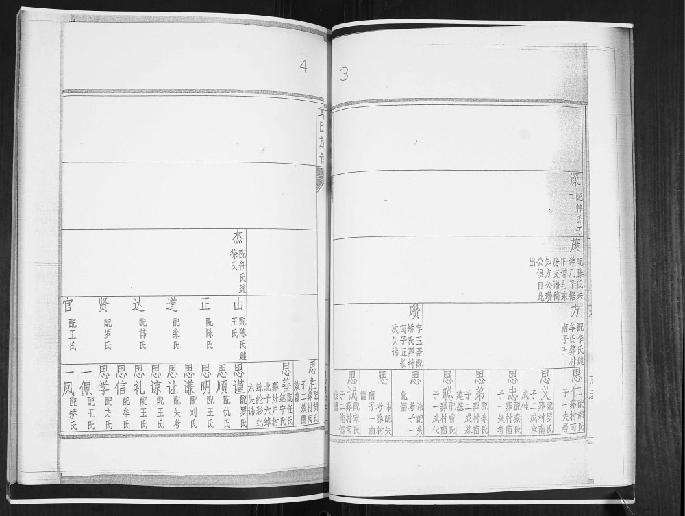 图片[8]-山东青岛城阳袁氏族谱电子版PDF下载-中华家谱网