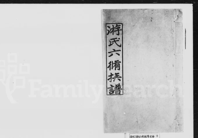 湖南娄底新化县游氏六修族谱-中华家谱网