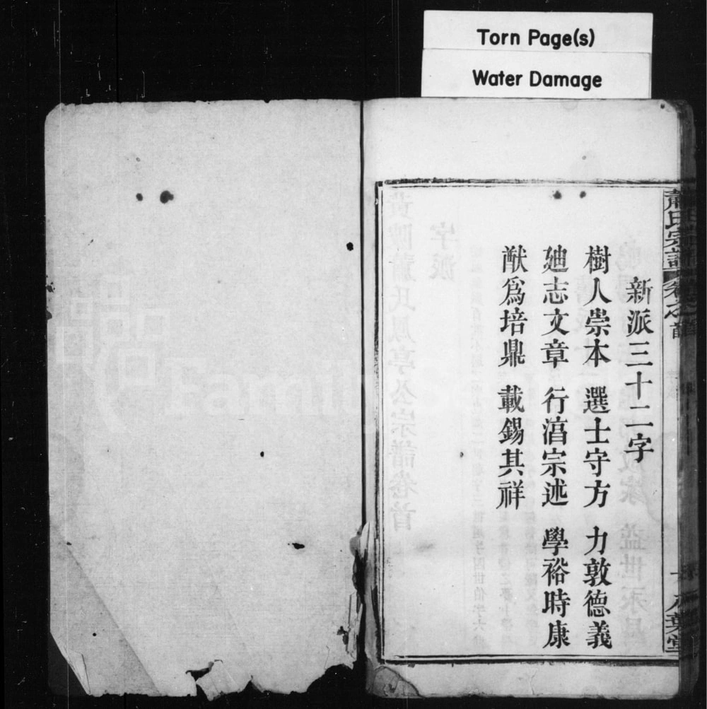 图片[4]-湖北武汉黄陂区萧(肖)氏凤亭公宗谱（八叶堂）电子版PDF下载-中华家谱网