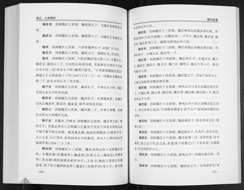 图片[6]-四川广元剑阁魏氏族谱电子版PDF下载-中华家谱网