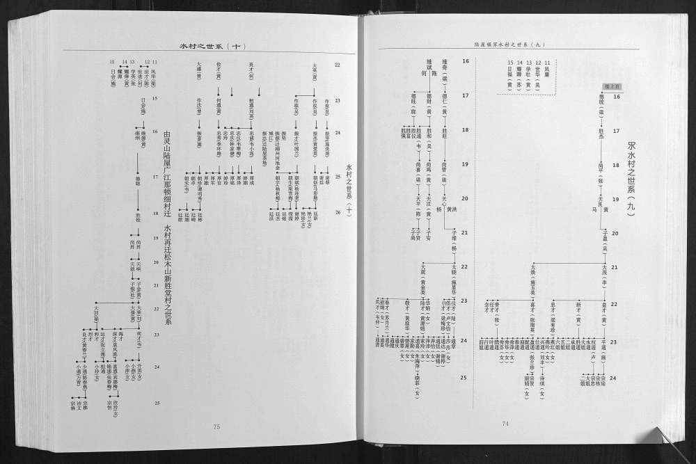 图片[8]-广西钦州灵山县北部湾谢氏族谱电子版PDF下载-中华家谱网