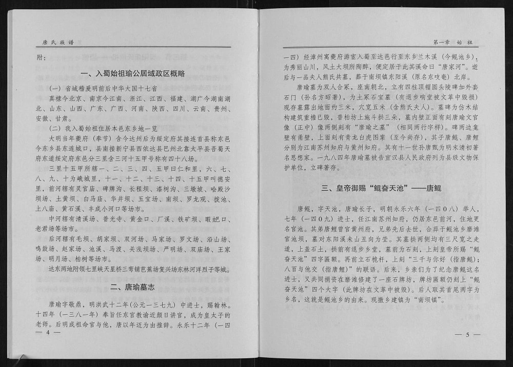 图片[6]-四川达州宣汉重庆开州区唐氏族谱电子版PDF下载-中华家谱网