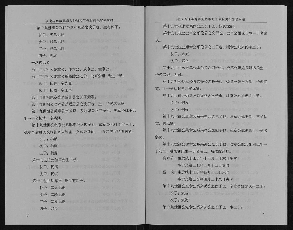 图片[6]-云南玉溪通海县高大乡路南下厂村魏氏宗族家谱电子版PDF下载-中华家谱网