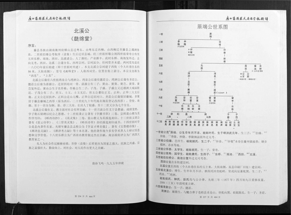 图片[8]-广西梧州藤县苏氏原端宗亲族谱电子版PDF下载-中华家谱网