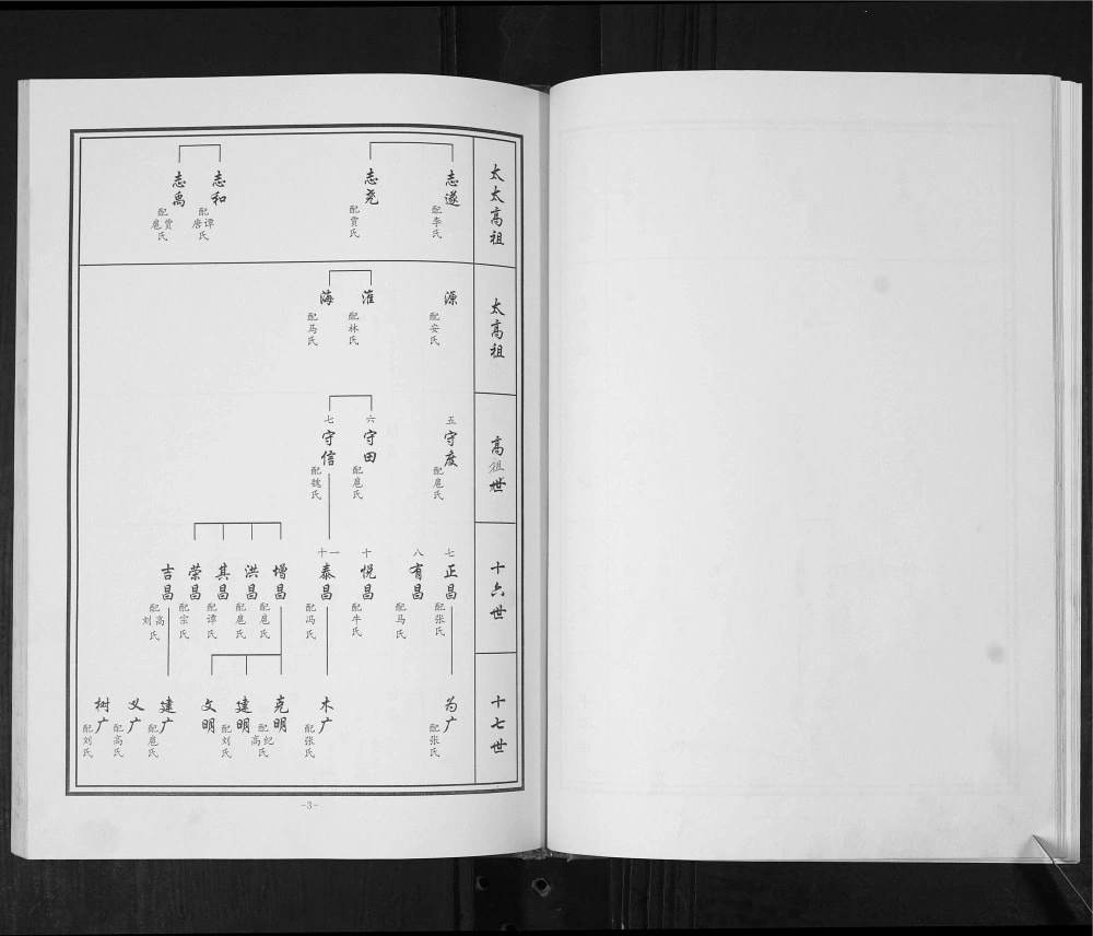 图片[8]-山东东营利津县蒋氏族谱电子版PDF下载-中华家谱网