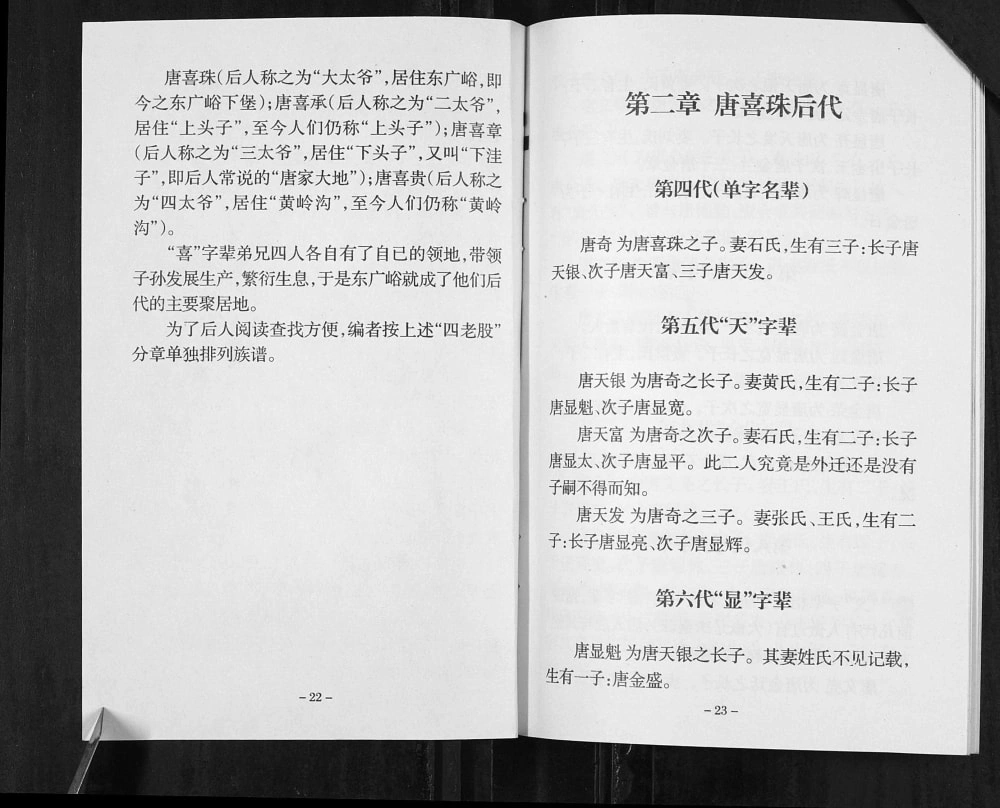 图片[8]-辽宁鞍山岫岩唐氏族谱电子版PDF下载-中华家谱网