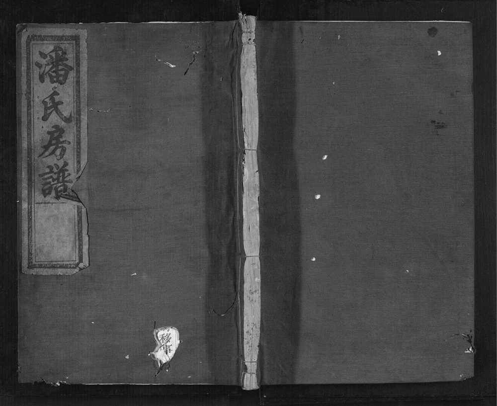 图片[1]-浙江丽水松阳县潘氏恥房宗谱电子版PDF下载-中华家谱网