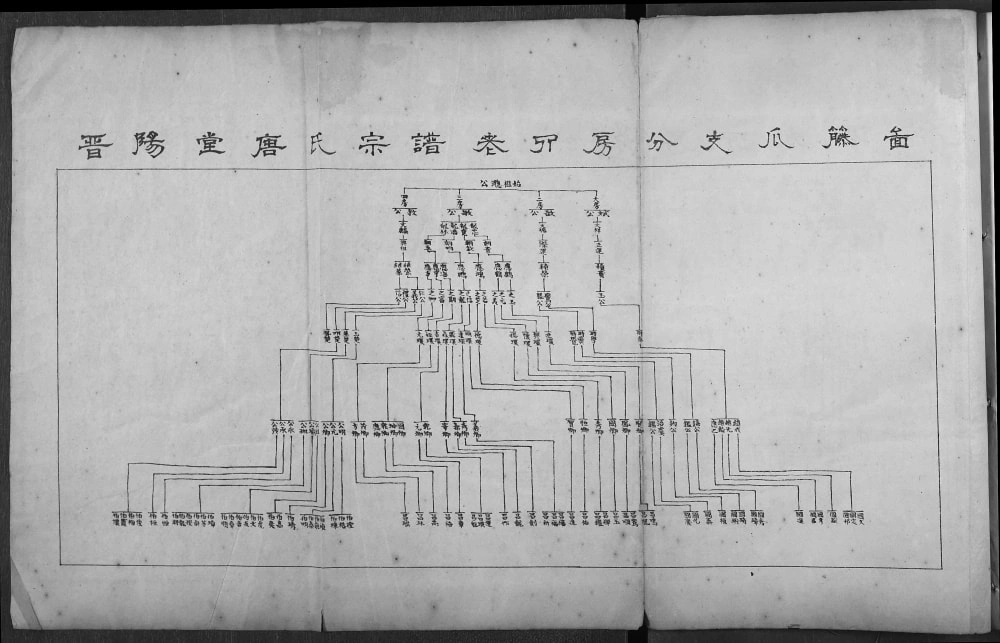 图片[5]-湖北武汉蔡甸区唐氏宗谱（晋阳堂）电子版PDF下载-中华家谱网