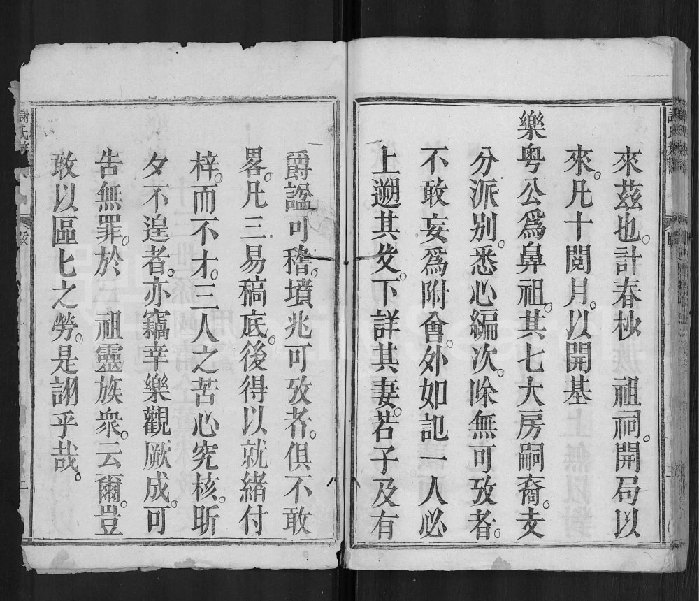 图片[3]-广东梅州平远差干谢氏族谱电子版PDF下载-中华家谱网