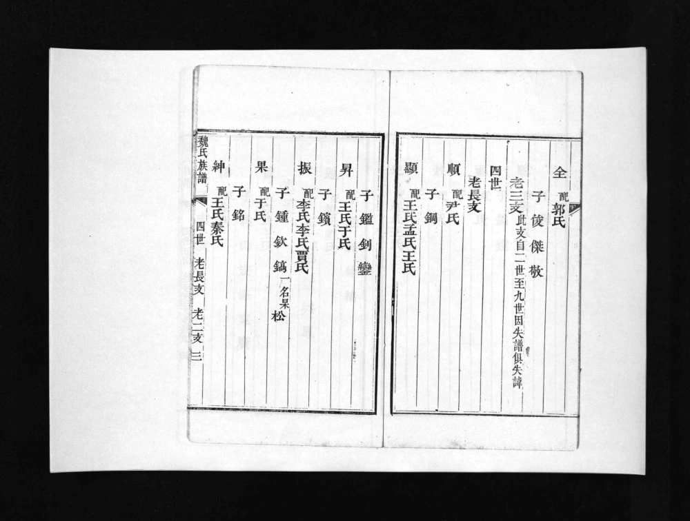 图片[6]-山东淄博博山区盆泉魏氏族谱电子版PDF下载-中华家谱网