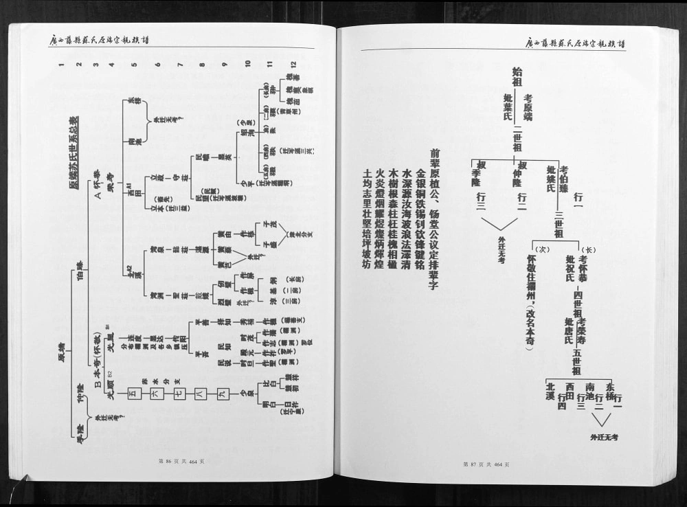 图片[5]-广西梧州藤县苏氏原端宗亲族谱电子版PDF下载-中华家谱网