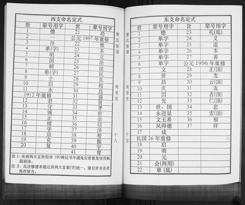 图片[5]-山东青岛即墨唐氏族谱电子版PDF下载-中华家谱网