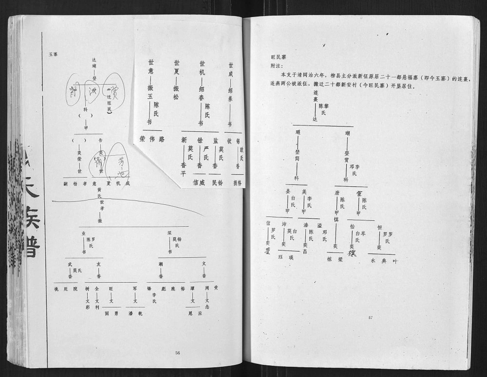 图片[7]-广西贺州魏氏族谱电子版PDF下载-中华家谱网
