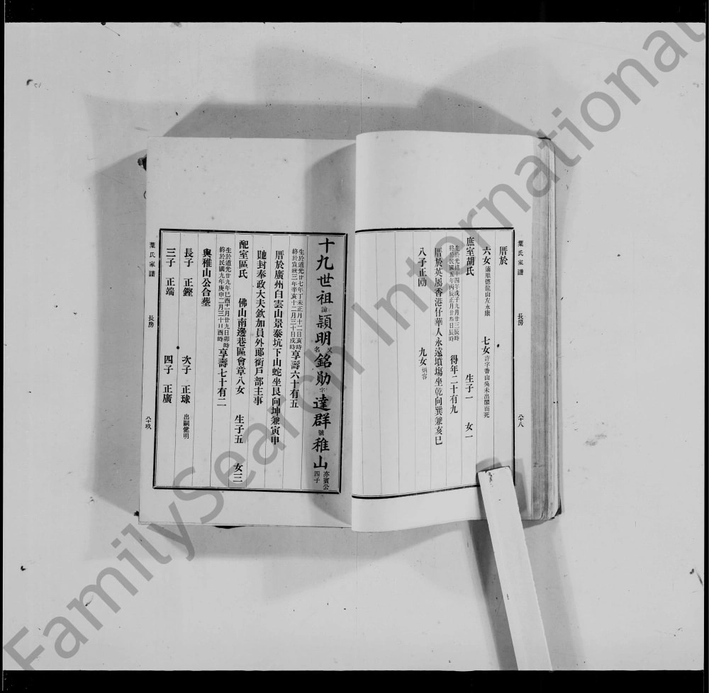 图片[8]-广东佛山南海叶氏家族谱电子版PDF下载-中华家谱网