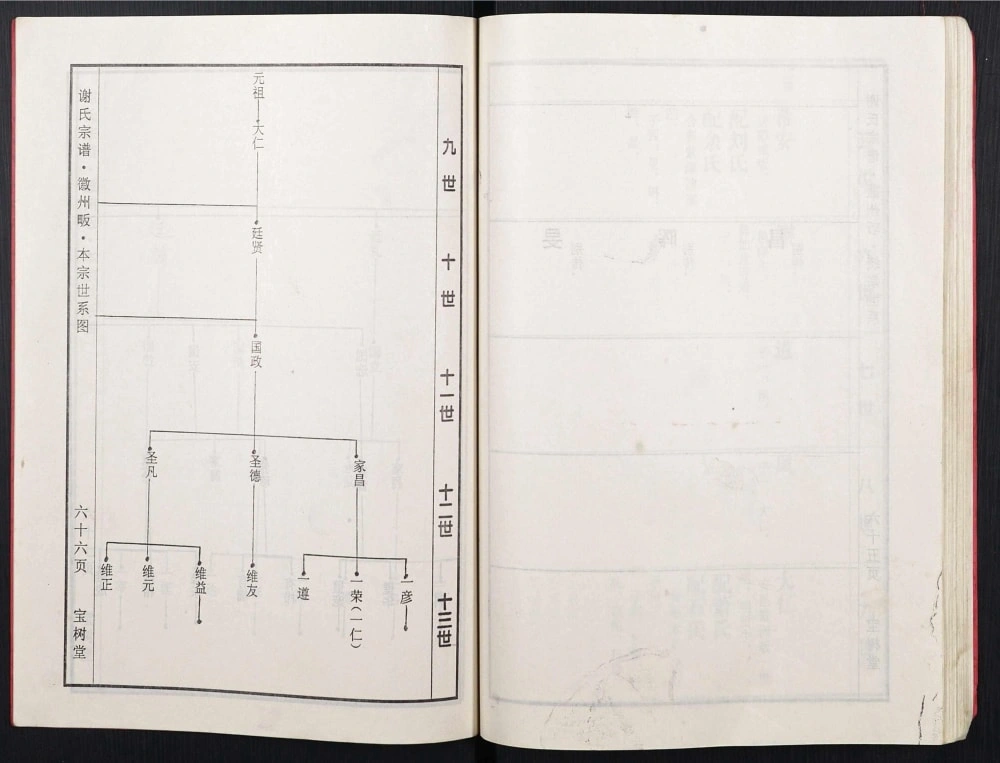 图片[7]-湖北黄冈红安谢氏宗谱（宝树堂）电子版PDF下载-中华家谱网