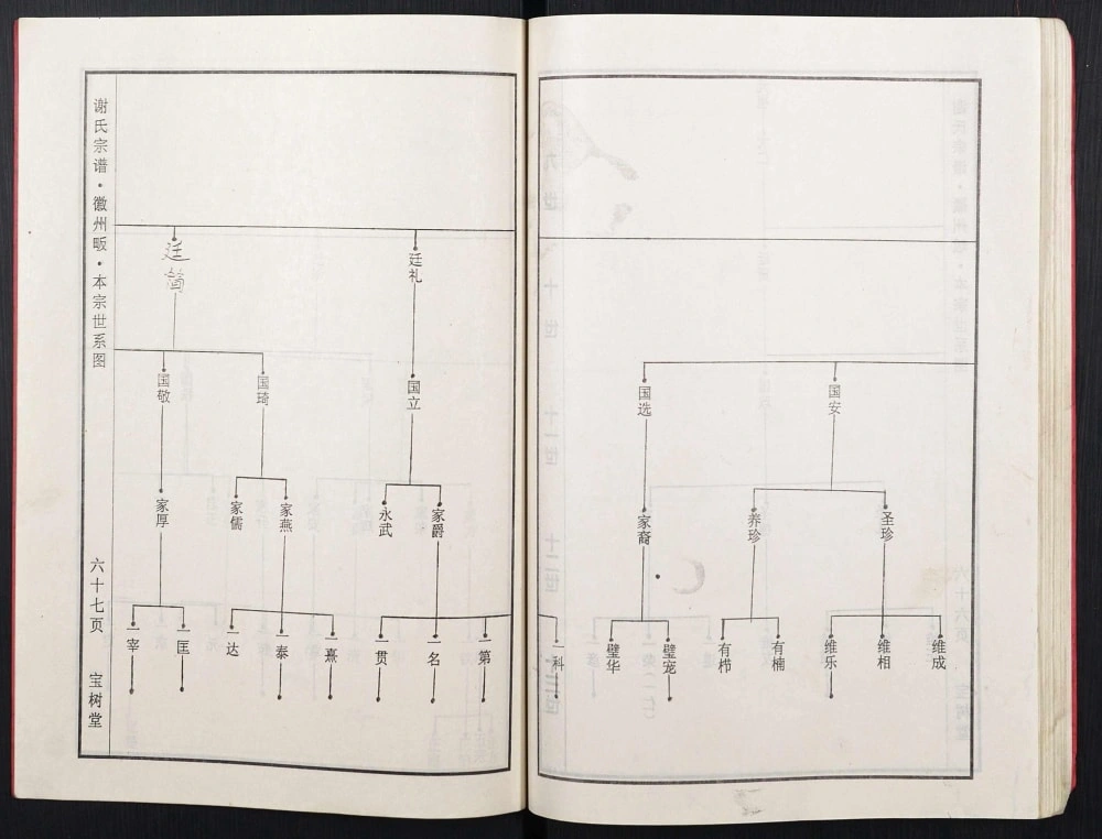 图片[8]-湖北黄冈红安谢氏宗谱（宝树堂）电子版PDF下载-中华家谱网
