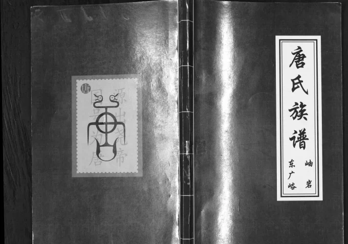 辽宁鞍山岫岩唐氏族谱电子版PDF下载-中华家谱网