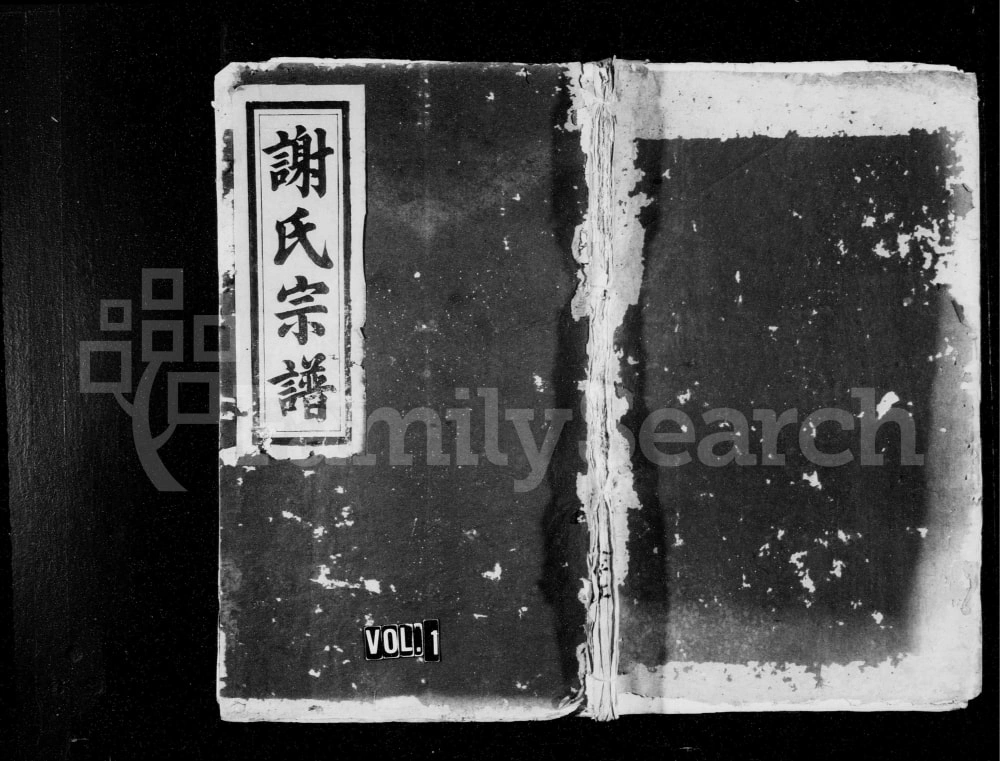 图片[1]-江西奉新谢氏宗谱（文忠堂）电子版PDF下载-中华家谱网