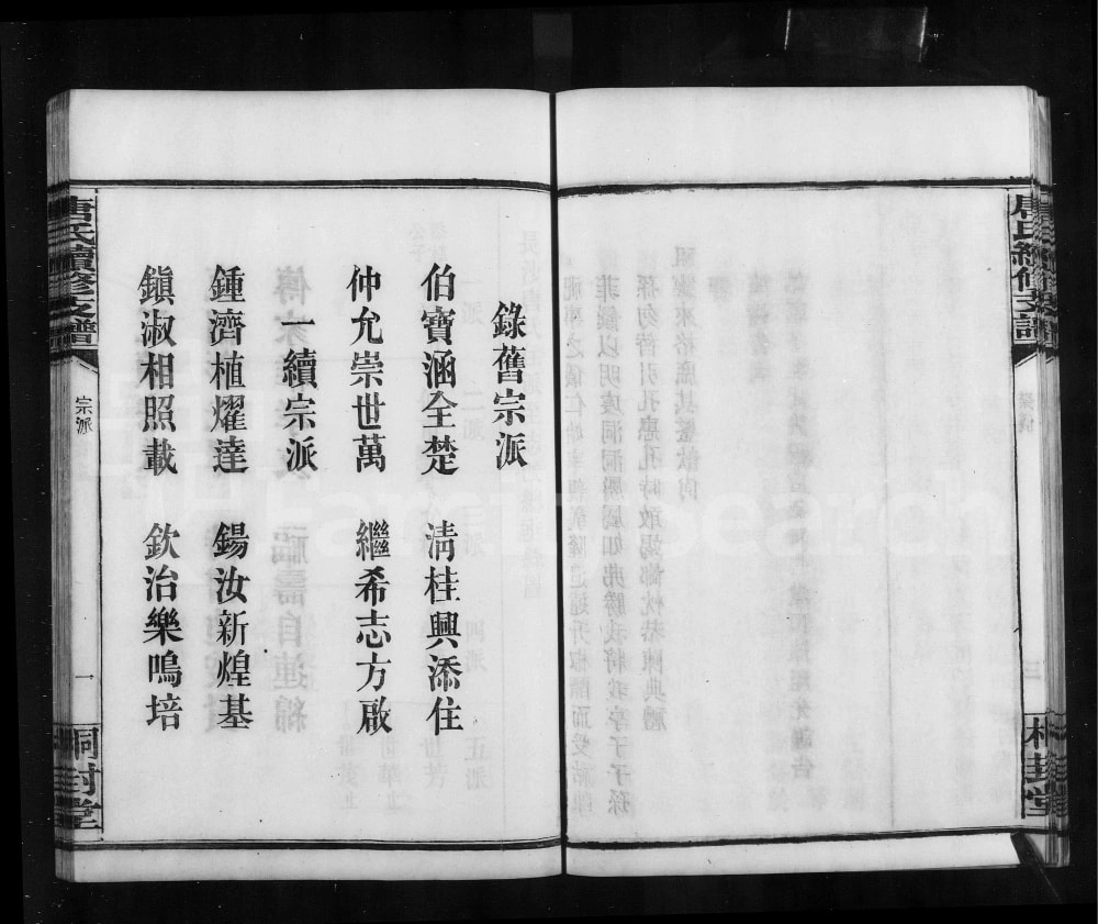 图片[3]-湖南长沙唐氏续修支谱（桐封堂）电子版PDF下载-中华家谱网