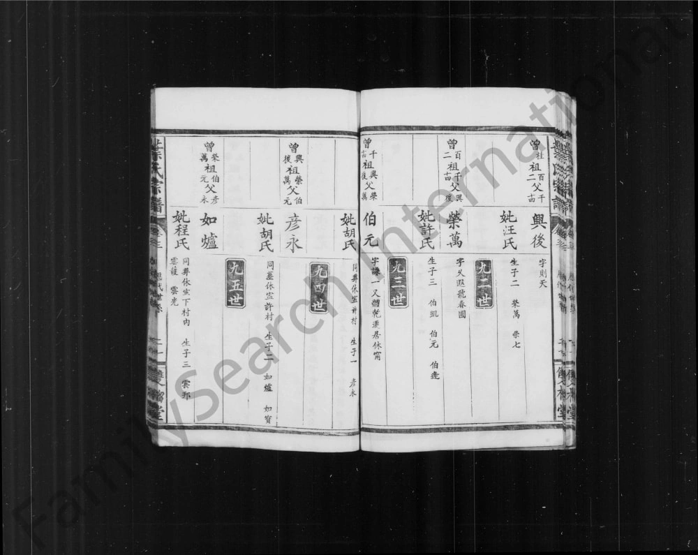 图片[5]-湖北咸宁叶氏宗谱（双榴堂）电子版PDF下载-中华家谱网