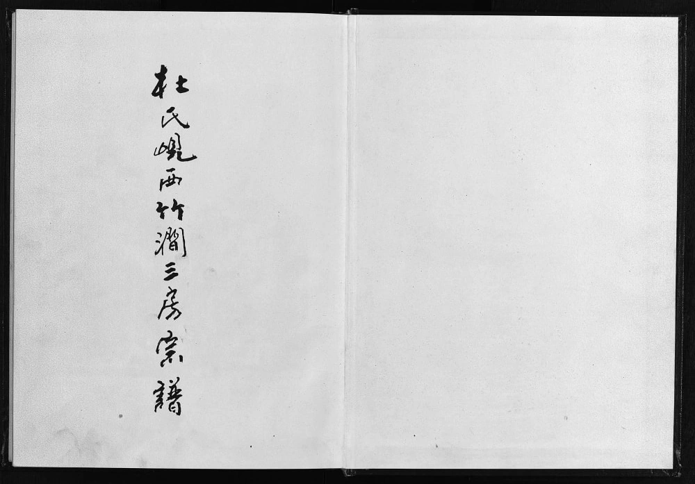 图片[1]-浙江东阳杜氏岘西竹涧三房宗谱电子版PDF下载-中华家谱网