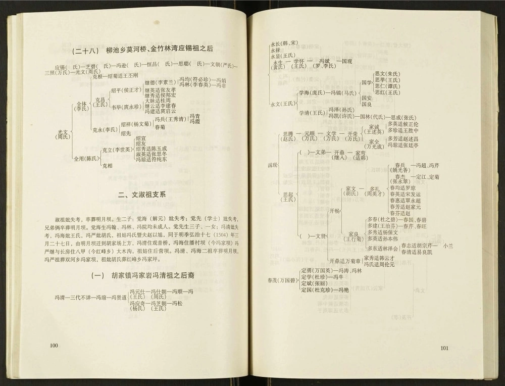 图片[8]-四川达州宣汉县冯氏族谱电子版PDF下载-中华家谱网