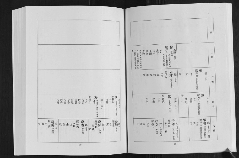 图片[6]-山东日照莒县大张宋刘氏家谱电子版PDF下载-中华家谱网