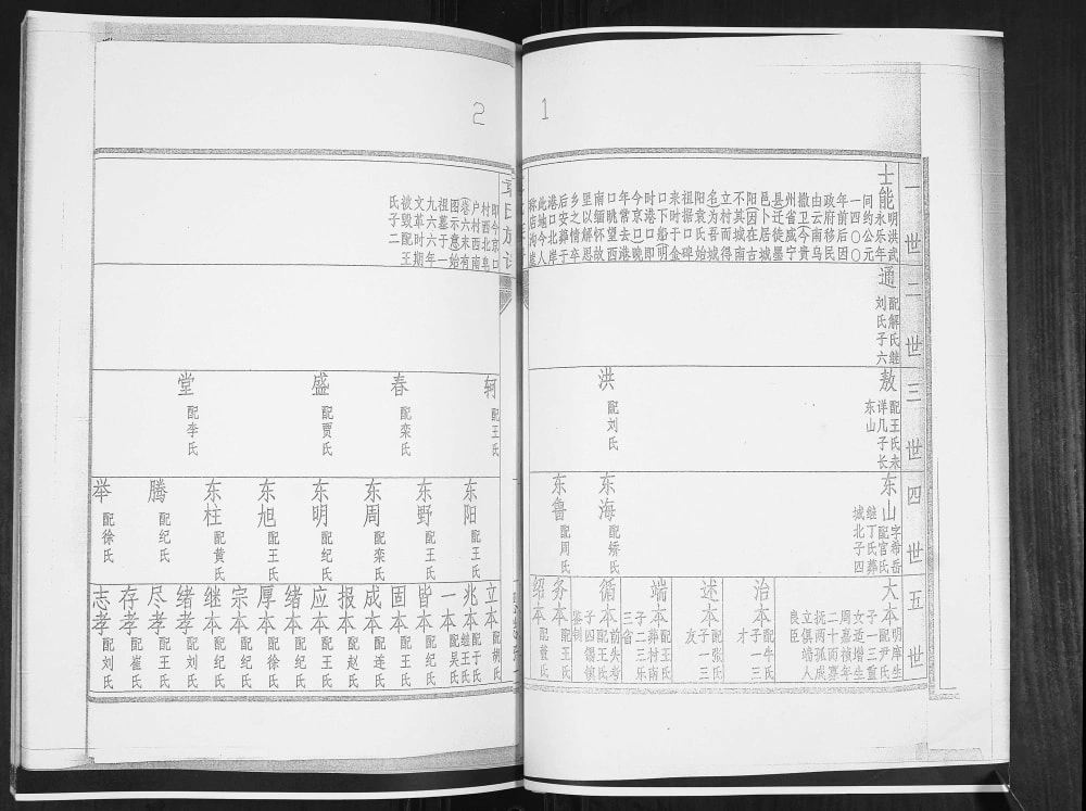 图片[7]-山东青岛城阳袁氏族谱电子版PDF下载-中华家谱网