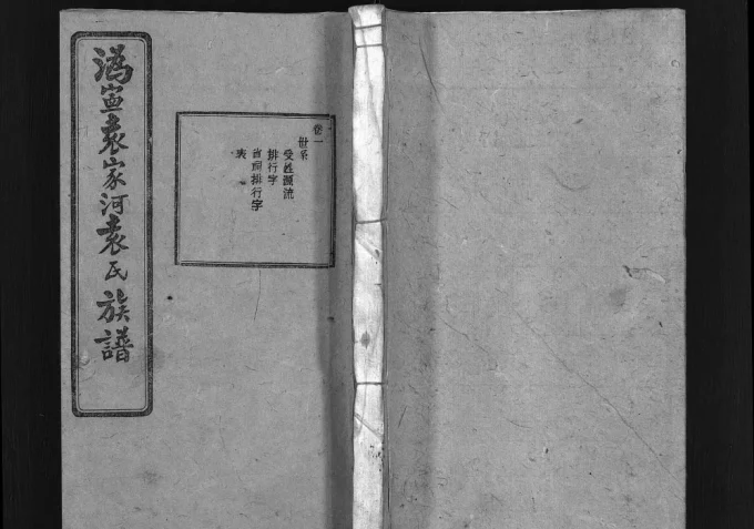 湖南宁乡沩宁袁家河袁氏族谱（汝南堂）-中华家谱网