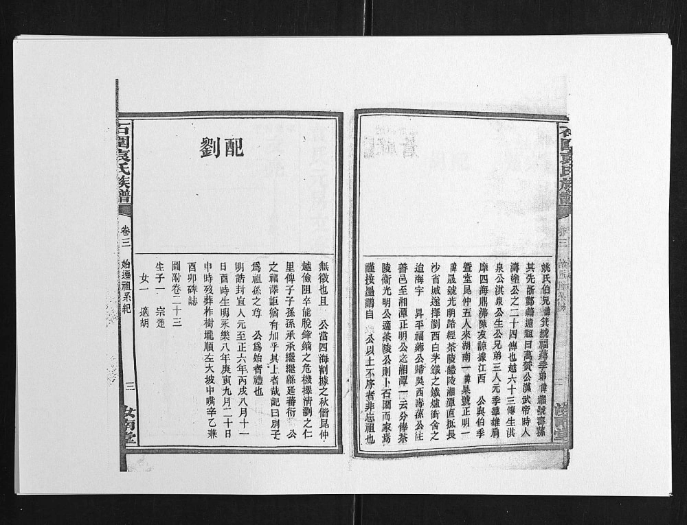 图片[6]-湖南浏阳石园袁氏族谱（汝南堂）电子版PDF下载-中华家谱网