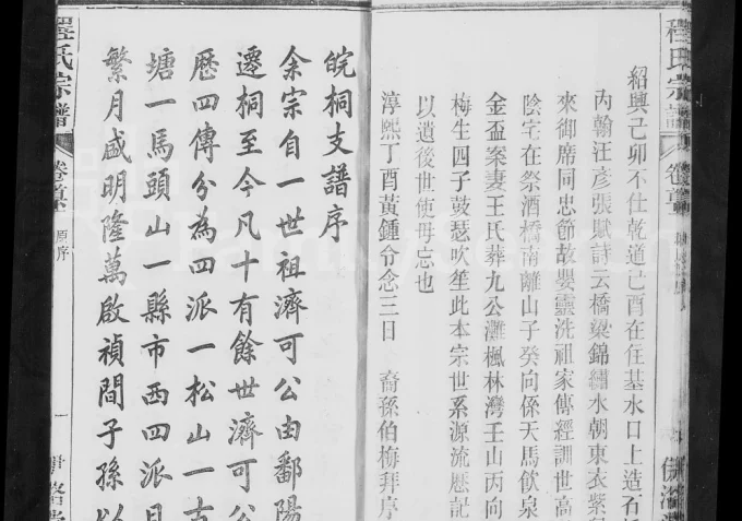 安徽桐城皖桐程氏宗谱（伊洛堂）电子版PDF下载-中华家谱网