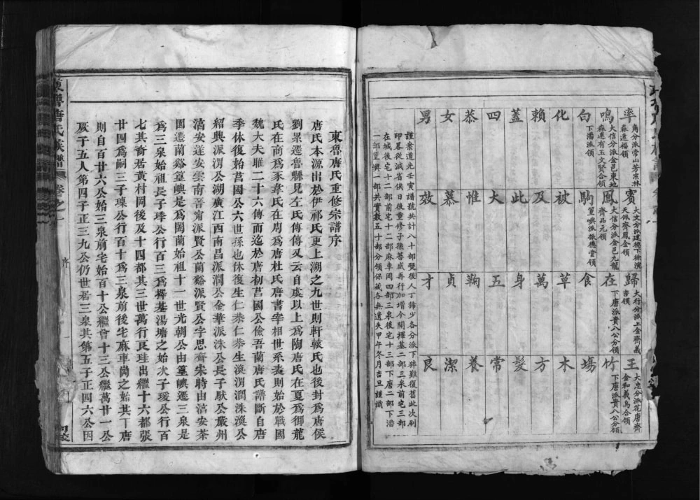 图片[2]-浙江兰溪兰江东鲁唐氏族谱（振德堂）电子版PDF下载-中华家谱网