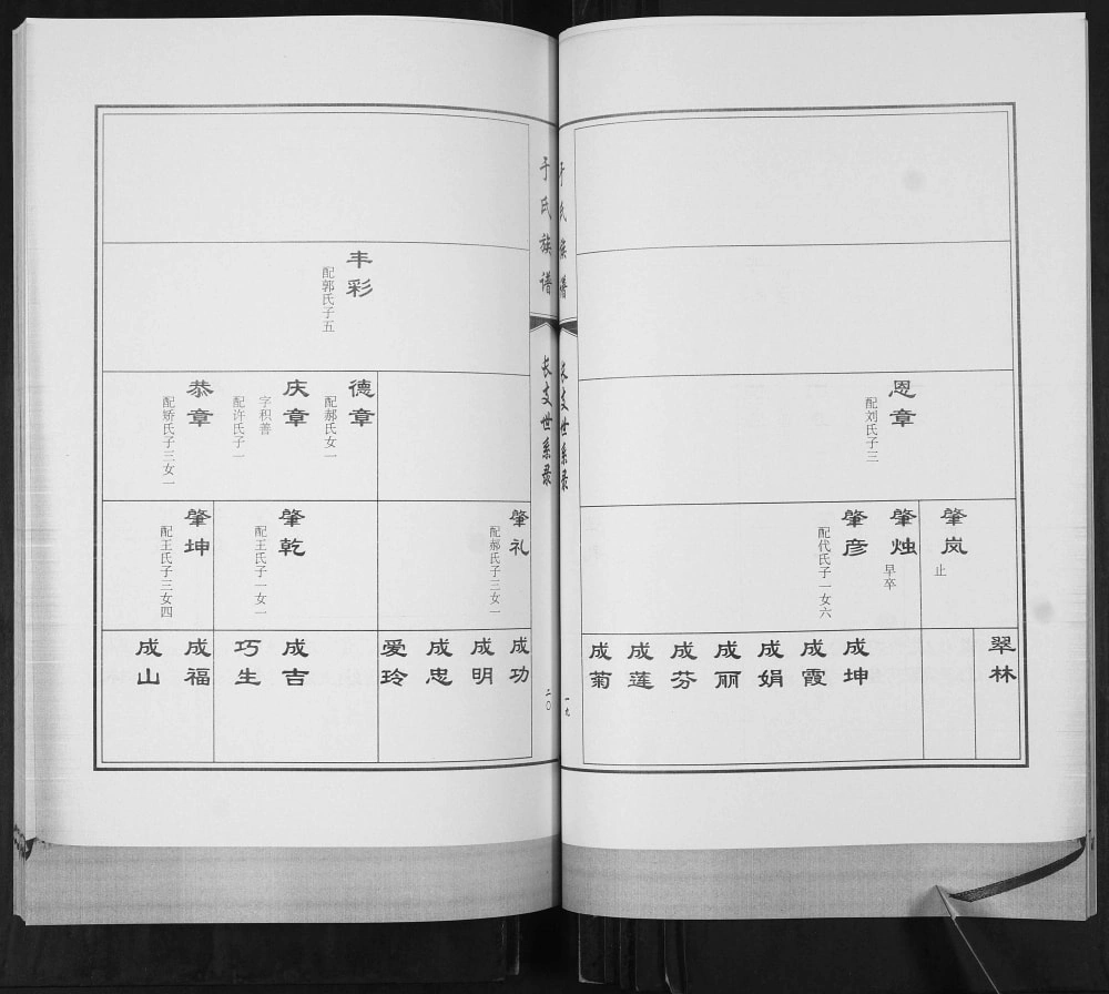 图片[8]-山东青岛即墨南泉镇乔戈庄村于氏族谱电子版PDF下载-中华家谱网