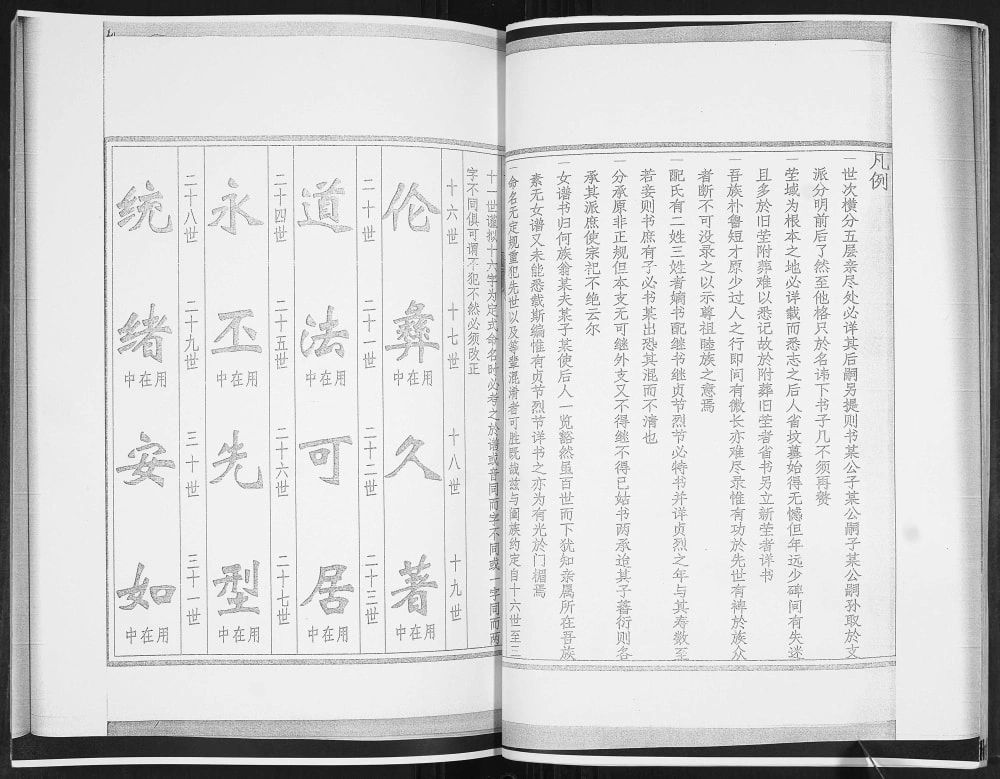 图片[3]-山东青岛城阳袁氏族谱电子版PDF下载-中华家谱网