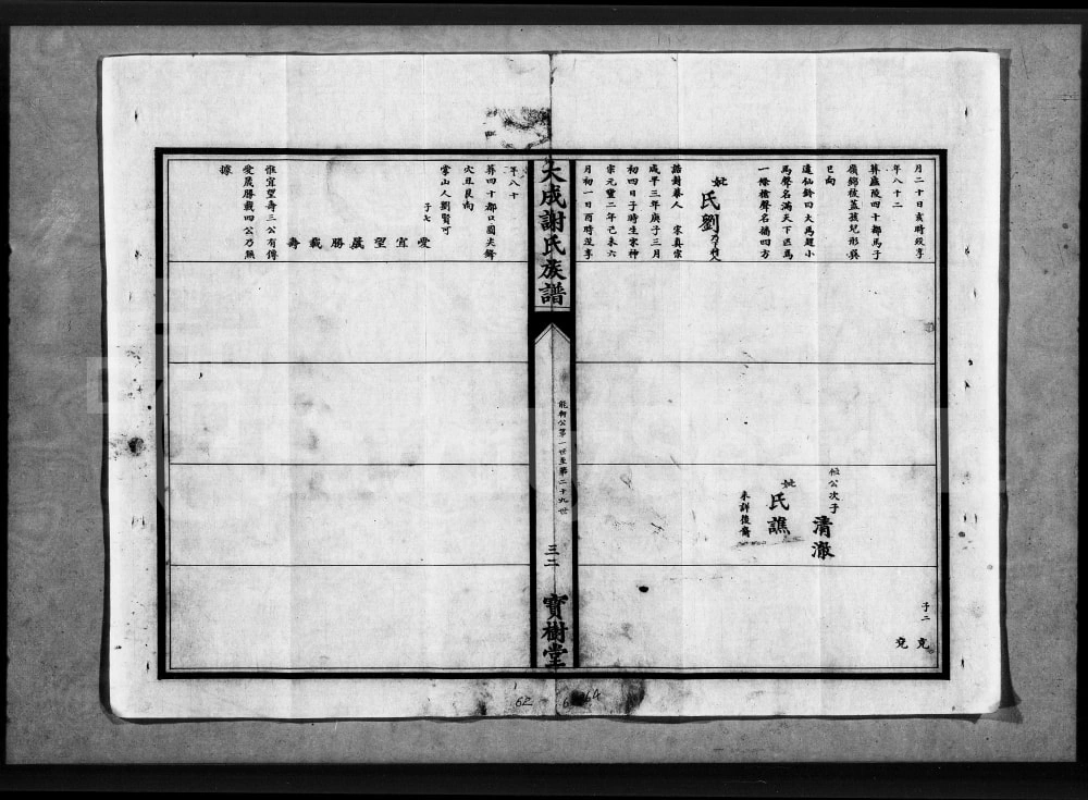 图片[6]-湖北应城大成谢氏族谱（宝树堂）电子版PDF下载-中华家谱网