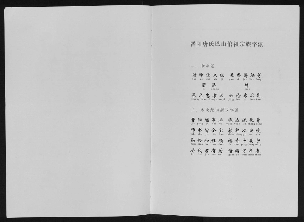 图片[2]-四川达州宣汉重庆开州区唐氏族谱电子版PDF下载-中华家谱网