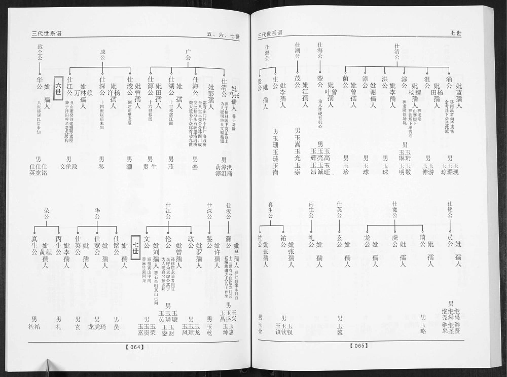 图片[6]-广东梅州五华县唐氏族谱电子版PDF下载-中华家谱网