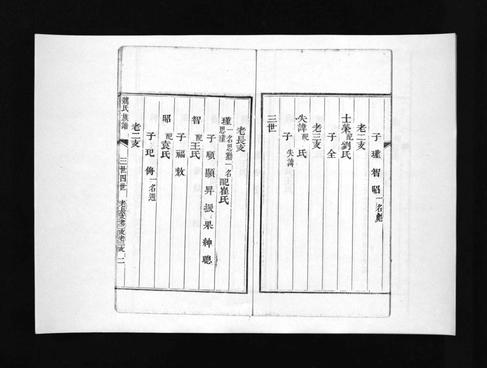 图片[5]-山东淄博博山区盆泉魏氏族谱电子版PDF下载-中华家谱网