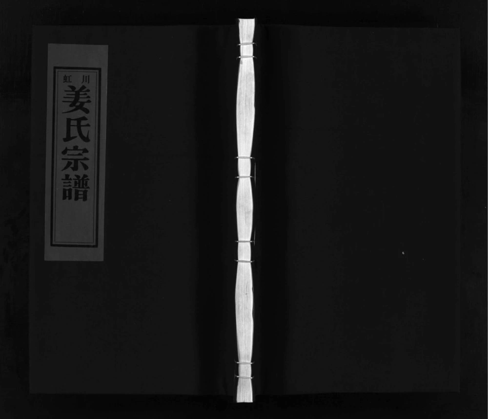 图片[1]-浙江乐清虹川姜氏宗谱电子版PDF下载-中华家谱网