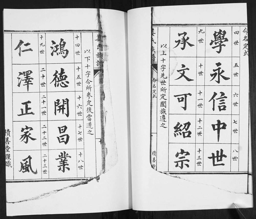 图片[6]-山东青岛即墨龙堂埠姜氏族谱（积善堂）电子版PDF下载-中华家谱网