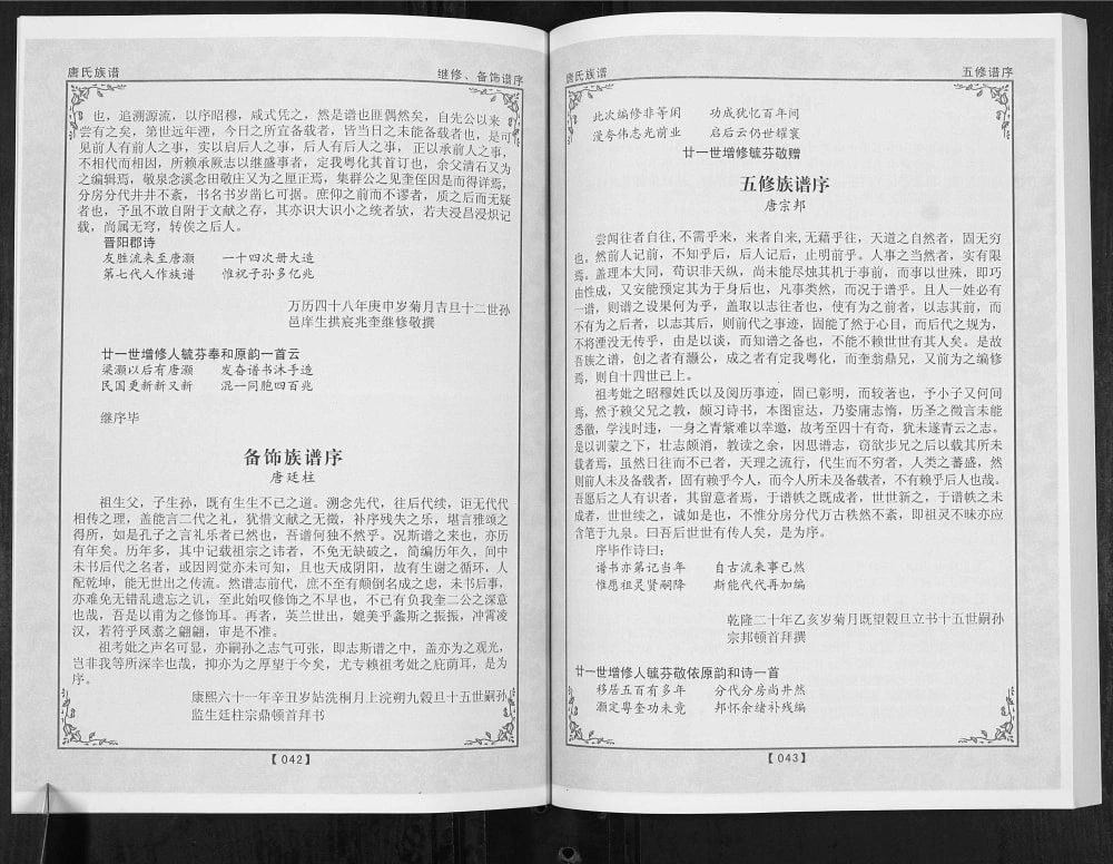 图片[3]-广东梅州五华县唐氏族谱电子版PDF下载-中华家谱网