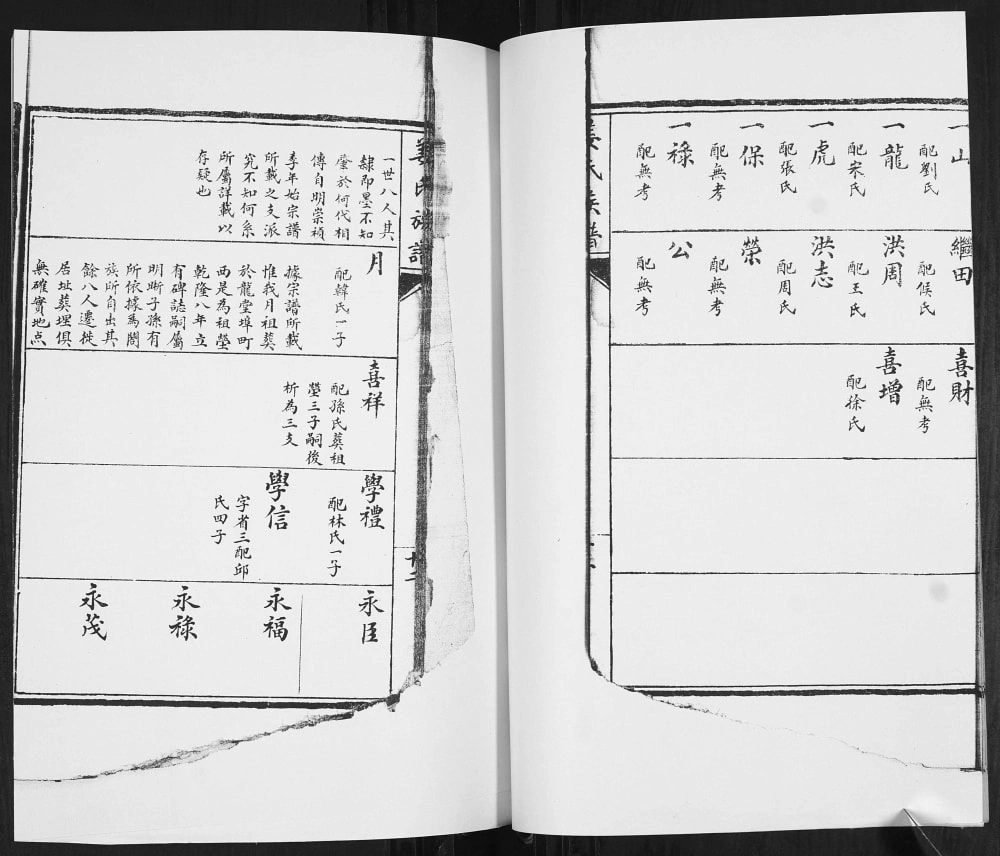 图片[8]-山东青岛即墨龙堂埠姜氏族谱（积善堂）电子版PDF下载-中华家谱网